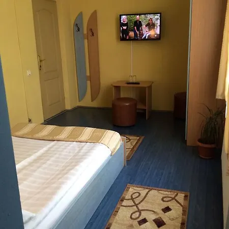 Pensjonat Pensiunea Casa Raul