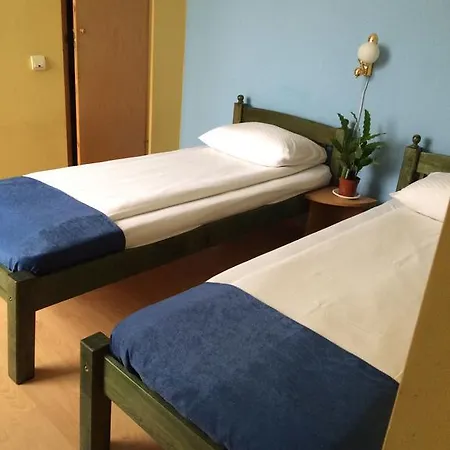 Pensiunea Casa Raul بيت ضيافة