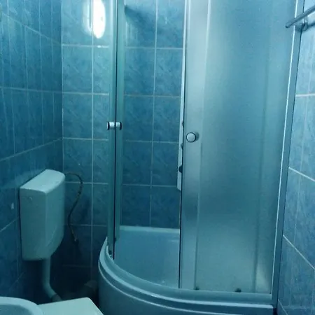 Guest house Pensiunea Casa Raul 3*