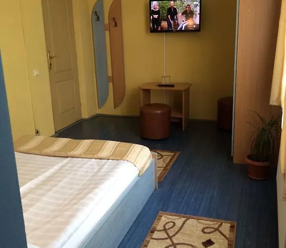 بيت ضيافة Pensiunea Casa Raul