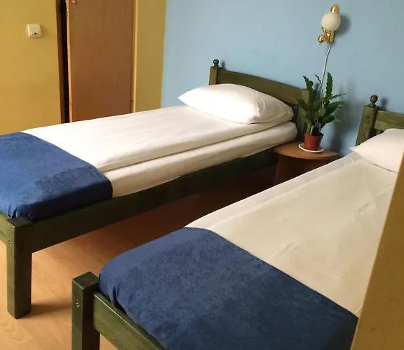 Pensiunea Casa Raul Pensjonat