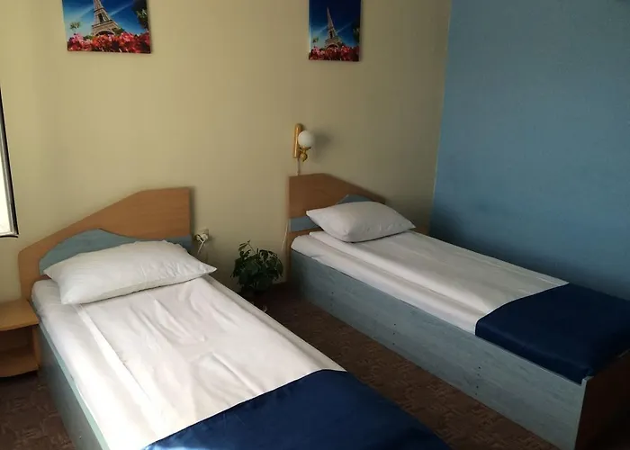 Pensiunea Casa Raul 3*