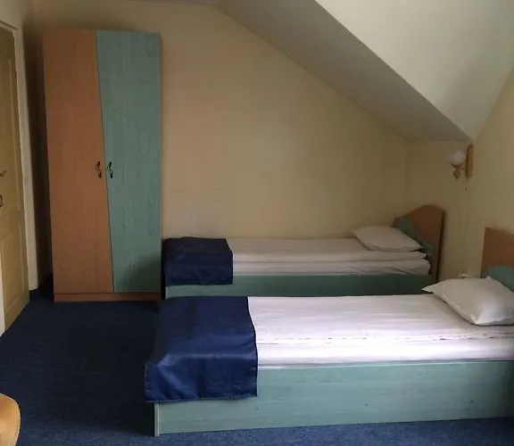 Pensjonat Pensiunea Casa Raul